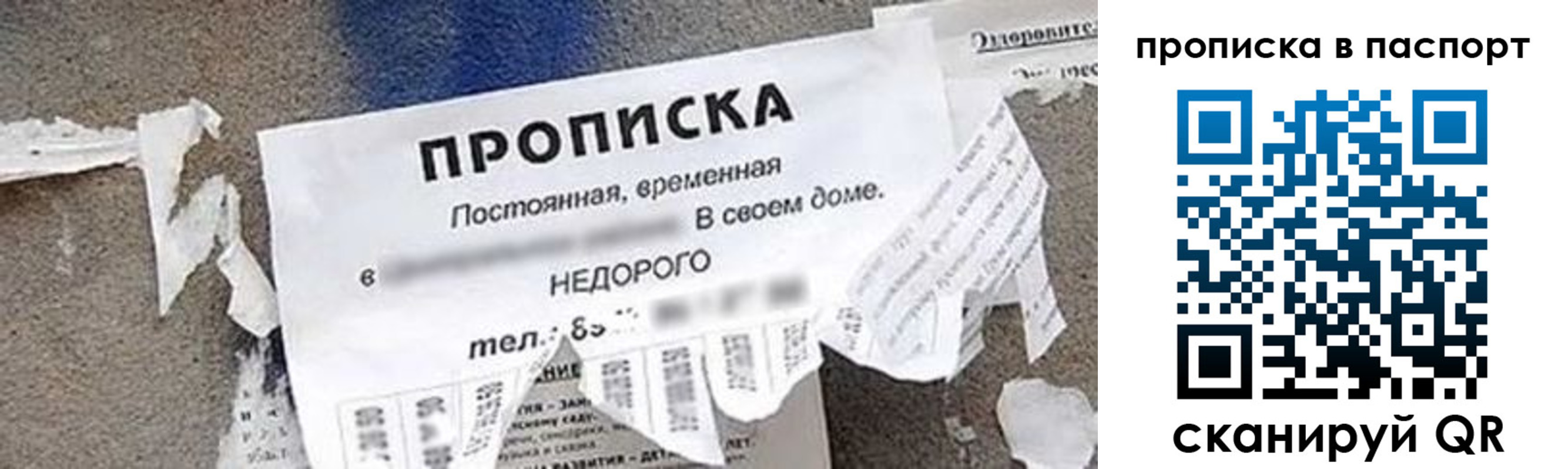 где прописаться в Сланцах